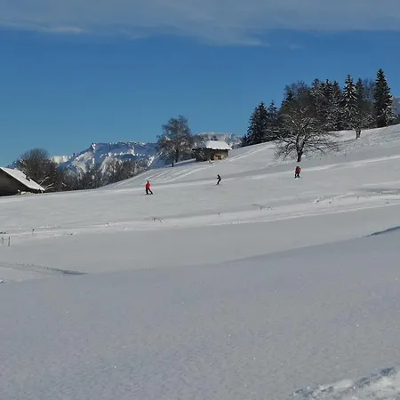 Brunnenmatte *